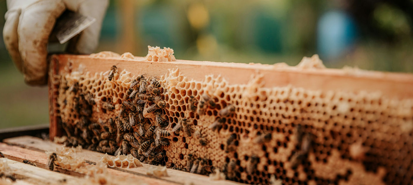 Interesse inimkeren?